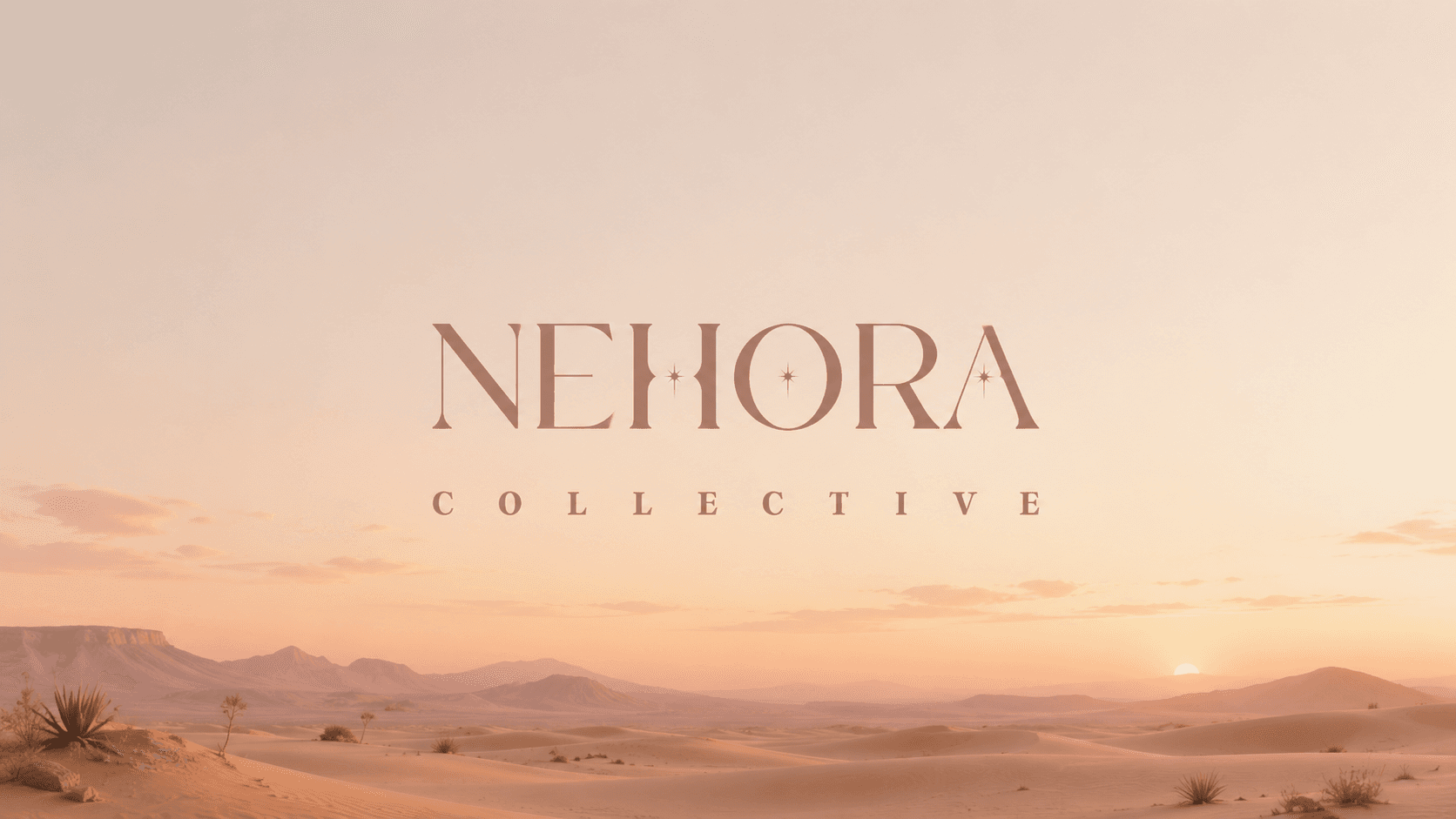 Nehora Collective Brand and Website